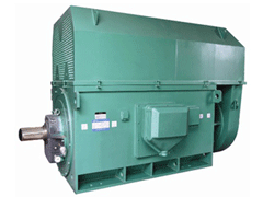 天山Y系列6KV高压电机